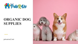 Nurture Your Dog Naturally with Organic Dog Supplies