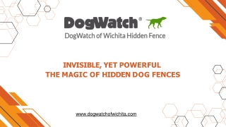 Invisible, Yet Powerful The Magic of Hidden Dog Fences