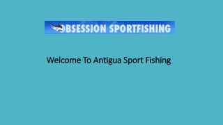 Deep Sea Fishing Charters Antigua – Experience the Thrill with Antigua Sport Fishing