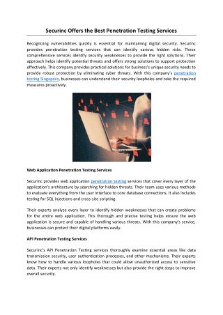 Securinc Offers the Best Penetration Testing Services