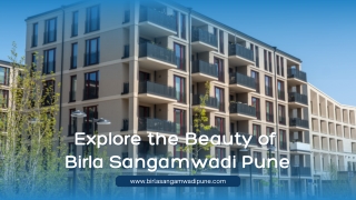 Birla project Presentation