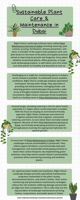Sustainable Plant Care & Maintenance in Dubai