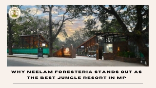 Why Neelam Foresteria Stands Out as the Best Jungle Resort in MP