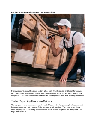 Are Huntsman Spiders Dangerous? Know everything