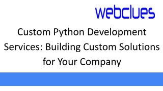 Custom Python Development Services_ Building Custom Solutions for Your Company