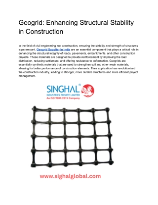 Geogrid Enhancing Structural Stability in Construction