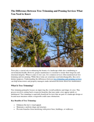 The Difference Between Tree Trimming and Pruning Services What You Need to Know