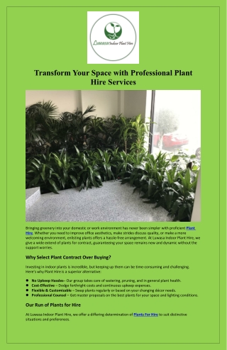 Transform Your Space with Professional Plant Hire Services