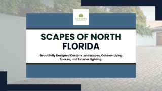 Scapes of North Florida