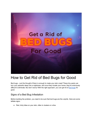 How to Get Rid of Bed Bugs for Good