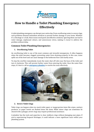 How to Handle a Toilet Plumbing Emergency Effectively