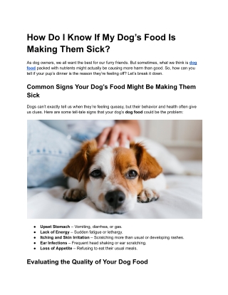 How Do I Know If My Dog’s Food is Making Them Sick?