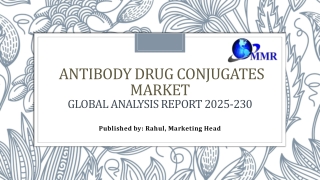 Antibody Drug Conjugates Market