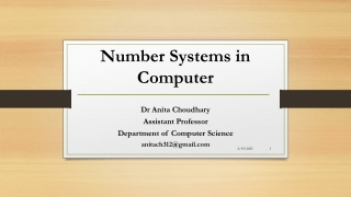 L 4 Computer Number System