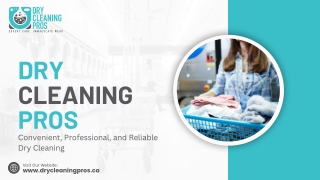 Carpet Cleaning | Dry Cleaning Pros