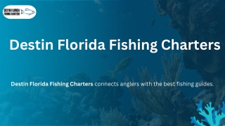 Florida Fish Regulations Florida Grouper Fishing