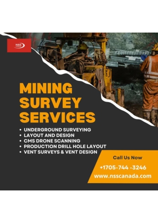 Mining survey services