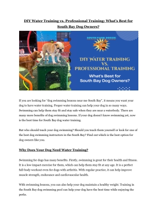 DIY Water Training vs. Professional Training_ What’s Best for South Bay Dog Owners_