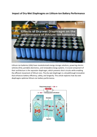Effects of the Dry-Wet Diaphragm on the Performance of Lithium-Ion Batteries