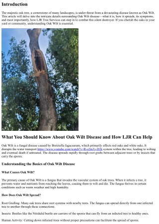 What You Should Know About Oak Wilt Disease and How LJR Can Help