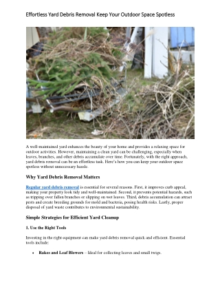 Effortless Yard Debris Removal Keep Your Outdoor Space Spotless