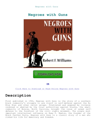 Negroes with Guns