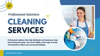 Professional Solution Cleaning Services
