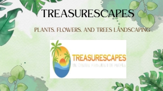 Plants Flowers and Trees Landscaping