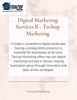 Digital Marketing Services Il - Techup Marketing