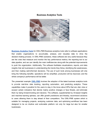 Business Analytics Tools | OWL-PMS