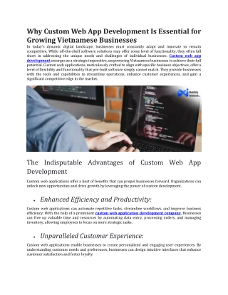 Why Custom Web App Development Is Essential for Growing Vietnamese Businesses