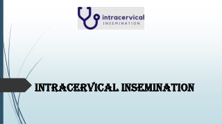 Ici Insemination Kit