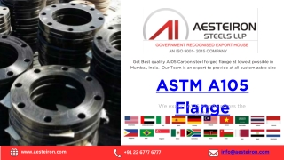 ASTM A105 Flange Manufacturer