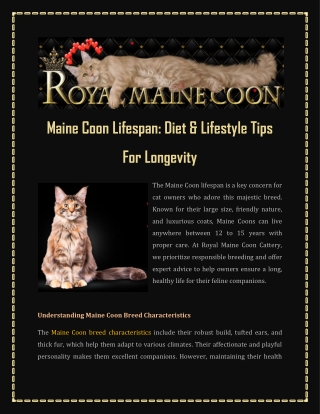 Maine Coon Lifespan Diet & Lifestyle Tips For Longevity