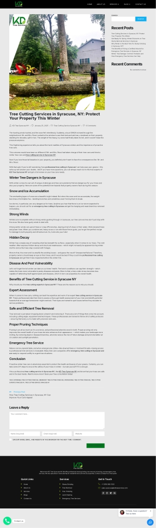 Tree Cutting Services in Syracuse, NY Protect Your Property This Winter