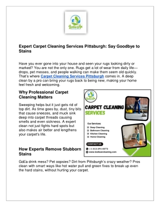 Expert Carpet Cleaning Services in Pittsburgh