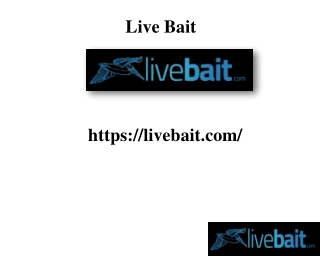 Best Casting Net, livebait