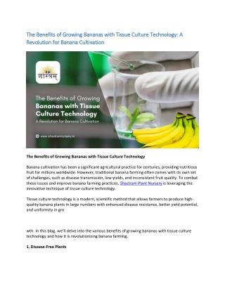 Revolutionize Your Banana Farming with Tissue Culture Technology