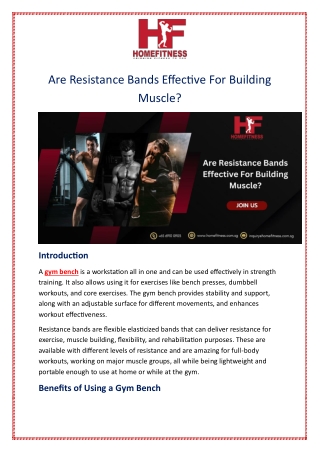 Are Resistance Bands Effective For Building Muscle?