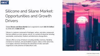 Silicone and Silane Market