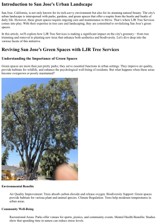 Reviving San Jose’s Green Spaces with LJR Tree Services