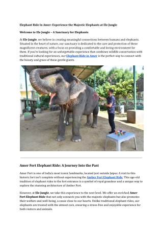Elephant Ride In Amer_ Experience the Majestic Elephants at Ele Jungle