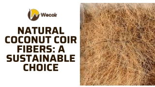 Top Manufacturer of Orthocoir Sheets, Coir Cake & China Coir