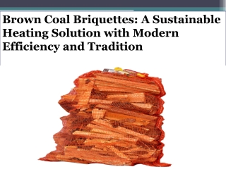 Brown Coal Briquettes: A Sustainable Heating Solution with Modern Efficiency