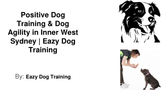 Positive Dog Training Inner West Sydney