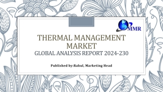 Thermal Management Market Size, Share, Trend, Forecast, & Industry Analysis 2030