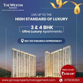 whiteland Gurgaon