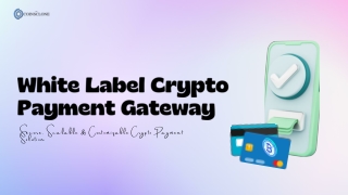 White Label Crypto Payment Gateway for Businesses