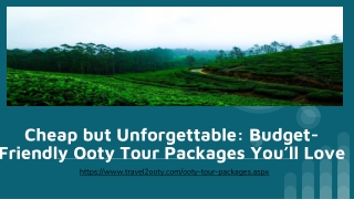 Unforgettable Ooty on a Budget: Best Affordable Tour Packages