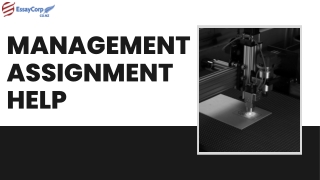 Management Assignment Help